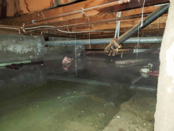 Water damage restoration insurance claims in Seminole, OK