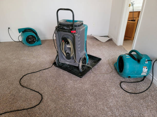 Best Water damage cleanup near me  in Seminole, OK