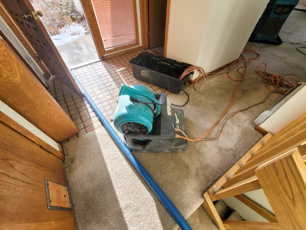 Best Sewage cleanup and water damage restoration  in Seminole, OK