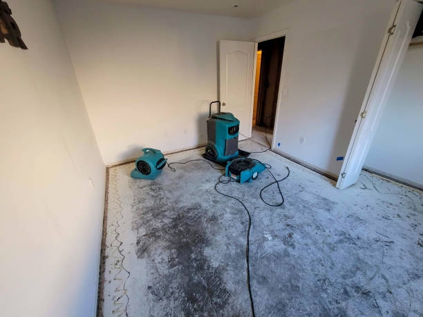 Best Flood damage cleanup  in Seminole, OK