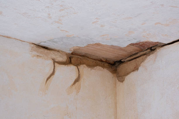 Best Fire Damage Restoration  in Seminole, OK
