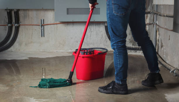 Best Sewage cleanup and water damage restoration  in Seminole, OK