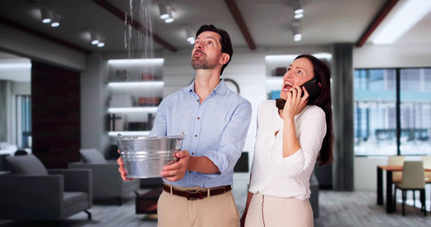 Best Local water damage restoration  in Seminole, OK